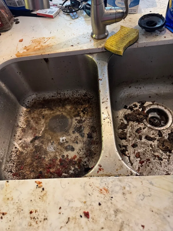 Double kitchen sink full of food residue before a deep clean